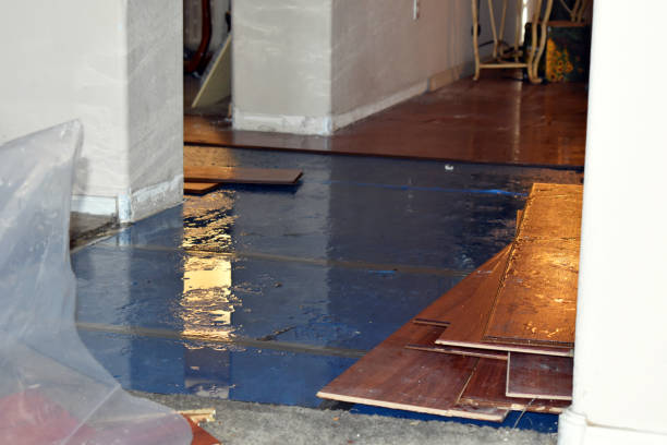 Professional Sewage Cleanup technician working in Newark, IL