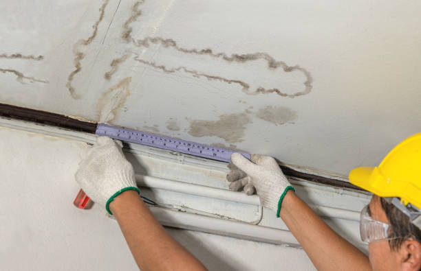 Reliable Sewage Cleanup contractor in Newark, IL by Water Damage Irwin